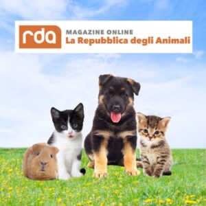 porfolio-sito-larepubblicadeglianimali